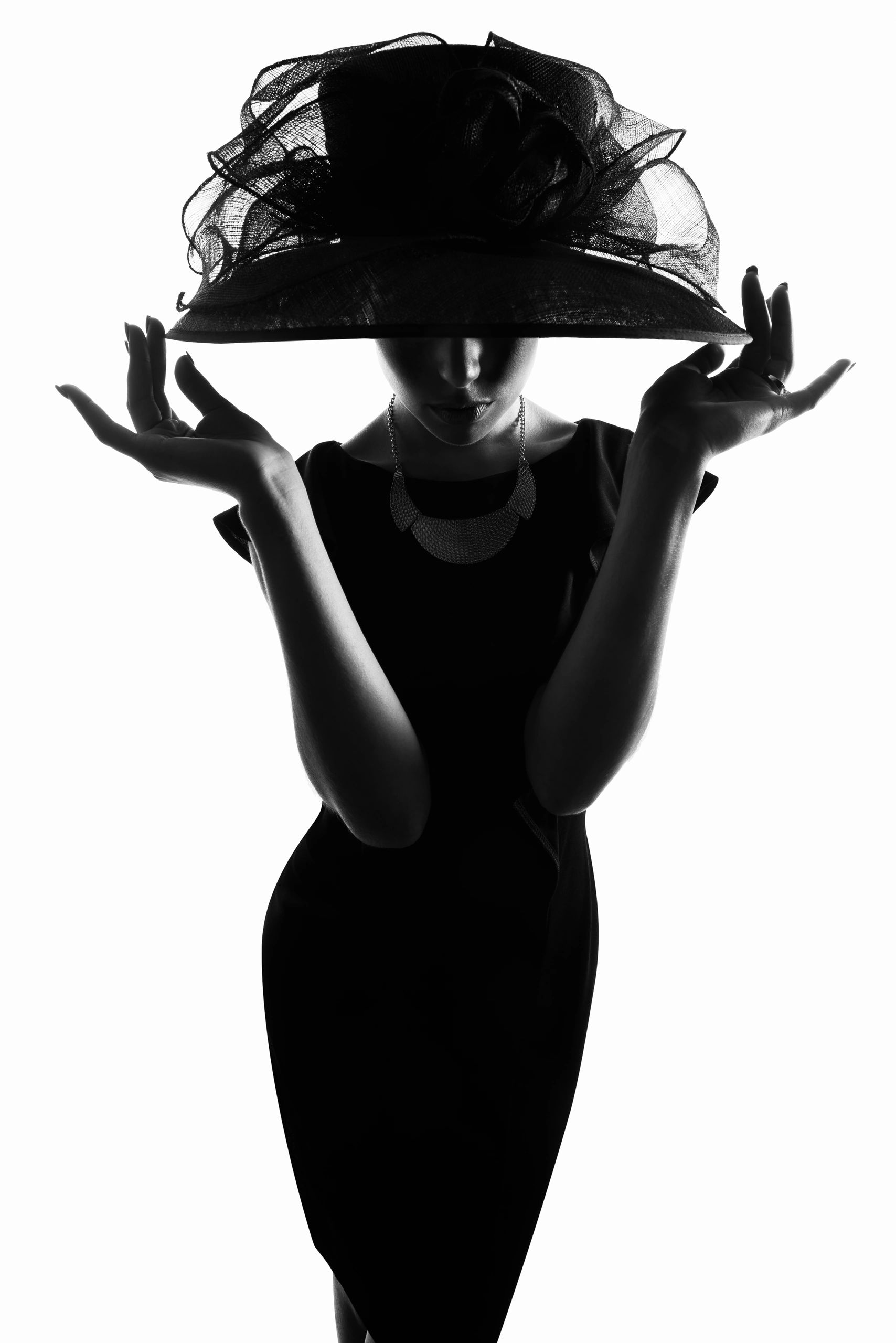 Silhouette of stylish woman in wide brim hat